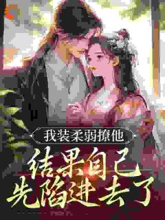 快手热文我装柔弱撩他，结果自己先陷进去了兰稚齐宴清小说推荐