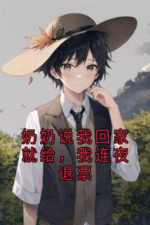 精选好书奶奶说我回家就给，我连夜退票无删减版全文在线