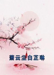 快手萧云尘白芷琳小说全本章节大结局