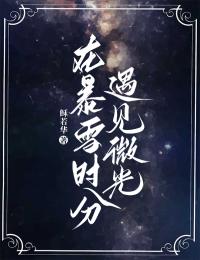 抖音小说在暴雪时分遇见微光，主角林曦微陆三省最后结局小说全文免费