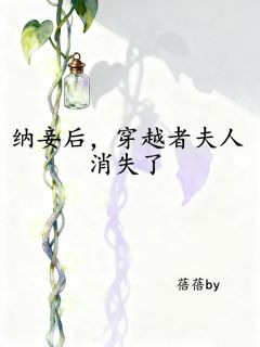 姜茗景琛是哪部小说的主角 纳妾后，穿越者夫人消失了全文无弹窗