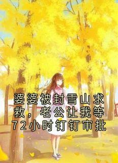 婆婆被封雪山求救，老公让我等72小时钉钉审批免费阅读全文，主角贺延庭江宁宁小说
