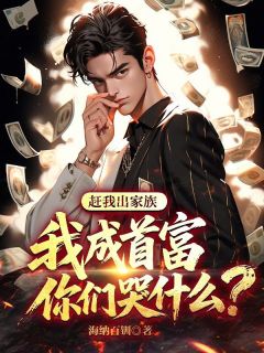 赶我出家族，我成首富你们哭什么？（叶枫叶正豪）精彩小说目录阅读