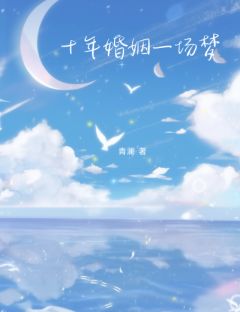 十年婚姻一场梦全本小说（十年婚姻一场梦）全文阅读