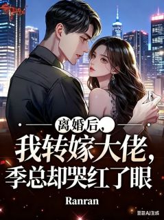 离婚后，我转嫁大佬，季总却哭红了眼沈宁汐季沉舟-小说未删减阅读