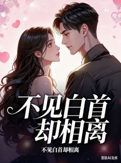 不见白首却相离大结局阅读 夏冉贺斯年小说在线章节