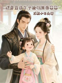 爆款小说王府里来了个捡破烂的崽崽-主角团团萧宁昭在线阅读