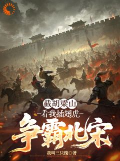 主人公雷横宋江小说截胡梁山,看我插翅虎争霸北宋在线全文阅读