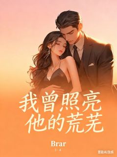 我曾照亮他的荒芜小说-陆霜晚宋迟沈疏云傅承渊全篇阅读