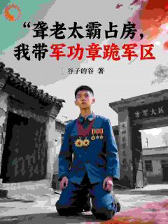 王龙易中海聋老太霸占房,我带军功章跪军区全文(王龙易中海)章节免费阅读