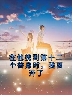 在他找到第十二个替身时,我离开了苏染沈司夜小说全文阅读