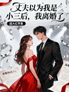 (全集-免费)丈夫以为我是小三后,我离婚了完本小说_陆怀瑾江媛媛全文免费阅读