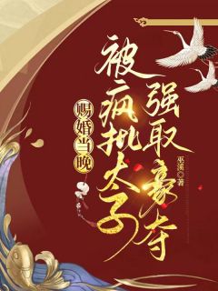 请旨另嫁后,温润殿下人设彻底崩了虞听晚谢临珩全本小说(请旨另嫁后,温润殿下人设彻底崩了)全章节小说目录阅读