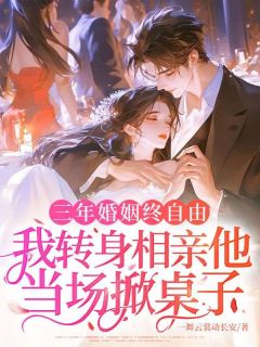 三年婚姻终自由，我转身相亲他当场掀桌子小说_三年婚姻终自由，我转身相亲他当场掀桌子小说结局阅读