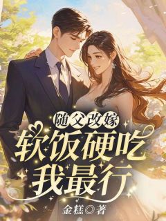 主人公米宝段泽小说随父改嫁！软饭硬吃我最行在线全文阅读-暗夜阅读网