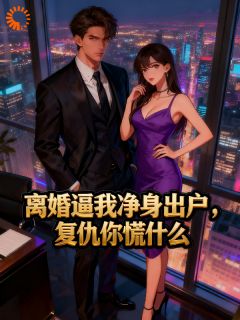 无广告小说离婚逼我净身出户，复仇你慌什么-叶秋苏婉晴在线阅读