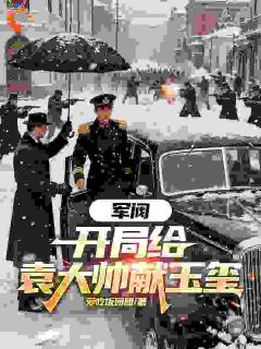 军阀:开局给袁大帅献玉玺免费阅读全文,主角冯永冯德林小说完整版