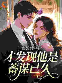误嫁竹马后,才发现他是蓄谋已久小说最后结局,黎栀时宴洲百度贴吧小说全文免费-暗夜阅读网
