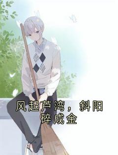 风起芦湾，斜阳碎成金(新书)大结局在线阅读