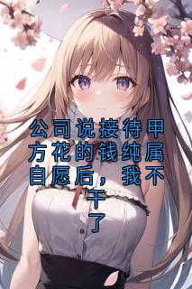 公司说接待甲方花的钱纯属自愿后,我不干了(全章节)-孙宇翔赵峰在线阅读