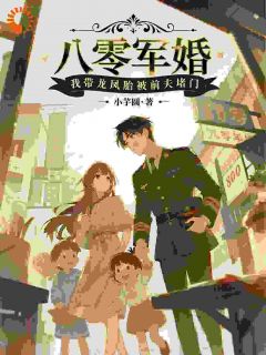 陆霆川林念全本章节在线阅读大结局