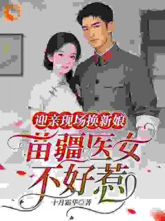 爆款小说迎亲现场换新娘,苗疆医女不好惹主角程元掣邱意浓全文在线完本阅读