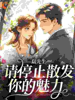 陆先生，请停止散发你的魅力【全章节】夏晚星陆霆烨完结版免费阅读-暗夜阅读网