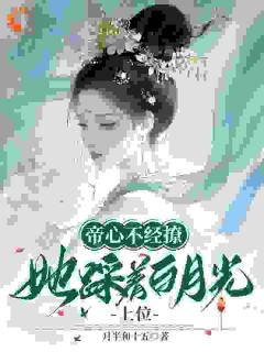 抖音许灼华祁赫苍小说叫什么名字