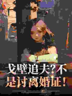 戈壁追夫?不,是讨离婚证!林纾容沈惊寒小说_戈壁追夫?不,是讨离婚证!完结版阅读-暗夜阅读网