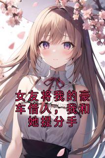 女友将我的豪车借人,我和她提分手林薇陈天南-小说未删减阅读