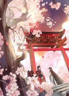 嫁兄小说在线阅读,主角颜徽陆景时精彩段落最新篇