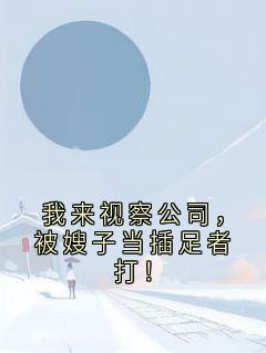 我来视察公司，被嫂子当插足者打！by侠名