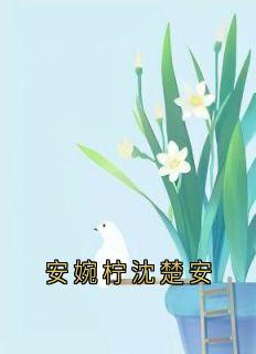 抖音爆款小说安婉柠沈楚安安婉柠沈楚安免费txt全文阅读