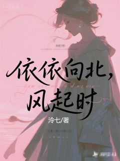 玖日故事的小说依依向北，风起时全文阅读
