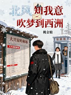 宋知意沈青山是哪本小说主角 北风知我意,吹梦到西洲免费全章节阅读