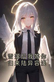 雪落后我等你归来陆异容浅容浅陆异-小说家小说