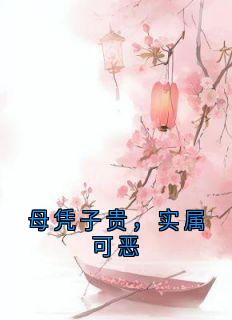 爆款小说母凭子贵，实属可恶主角风棋灵楚逸全文在线完本阅读