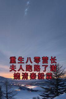 快手重生八零营长夫人跑路了谢婉清秦毅霖小说全本章节大结局