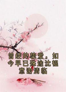 独家曾经的挚爱,如今早已殊途沈韫意谢清临小说-主角沈韫意谢清临全文免费阅读-暗夜阅读网