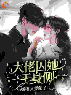 热文大佬囚她于身侧，小娇妻又要闹了！小说-主角林冰彤沈晓啸全文在线阅读