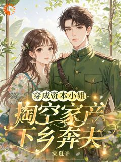 小说装病掏空家产后，我下乡躺赢​​主角为谢晚凝沈雁回免费阅读