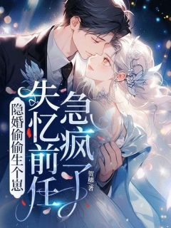 隐婚偷偷生个崽,失忆前任急疯了鹿晚商宴珩无广告在线阅读