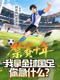 禁赛十年，我拿金球国足你急什么？知乎小说最新章节阅读
