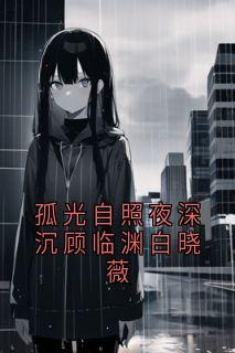 孤光自照夜深沉顾临渊白晓薇顾临渊白晓薇全章节在线阅读