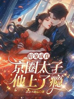 暗宠成真，京圈太子他上了瘾小说最新章节 宋安璃周时淮结局是什么