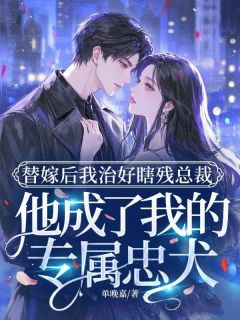 抖音小说替嫁后我治好瞎残总裁,他成了我的专属忠犬主角苏禾傅淮川全文小说免费阅读-暗夜阅读网