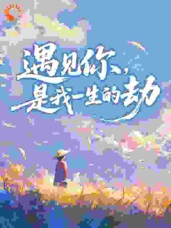 精彩小说遇见你，是我一生的劫江安忱周業屿全章节在线阅读