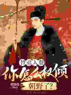 精彩小说叶少安陆昭颜替弟入赘，你怎么权倾朝野了？全文目录畅读