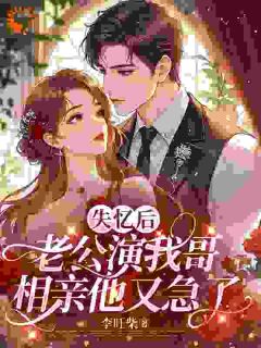 失忆后老公演我哥,相亲他又急了by李旺柴(桑甜京政南)未删节免费阅读