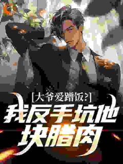 独家四合院：弃养？反手送父上军管会小说-主角何雨柱易中海全文免费阅读